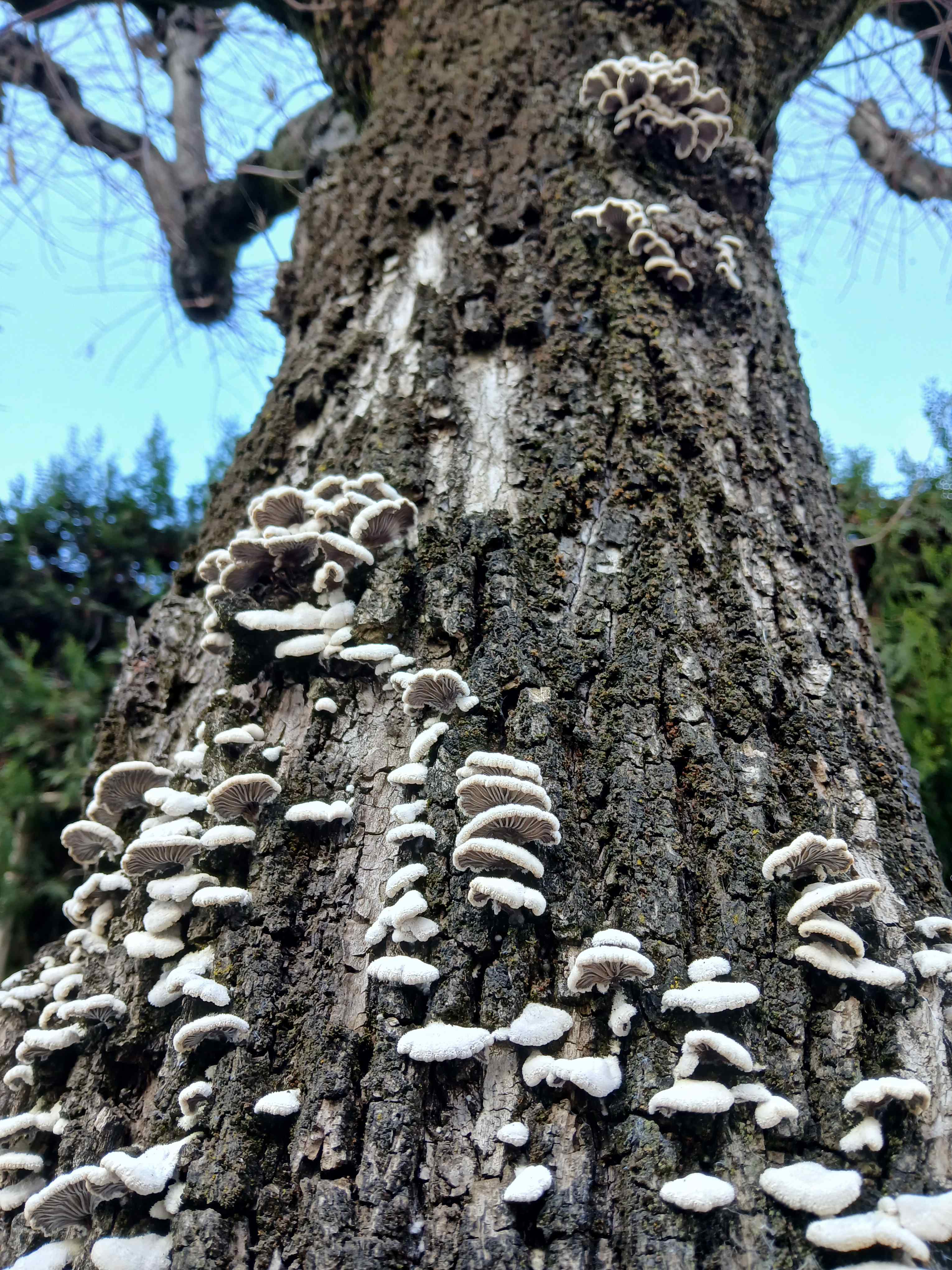 No s'ha trobat l'arxiu